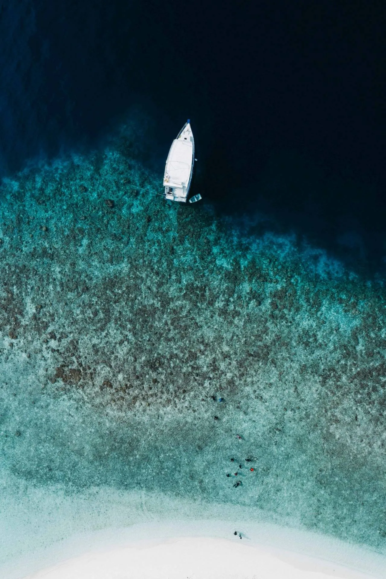 https://ur2h9smi.turpal.com/media/yZQU48zR0uSNsfotMBTJqeTdD3K7sruxcwaTa06R.jpg